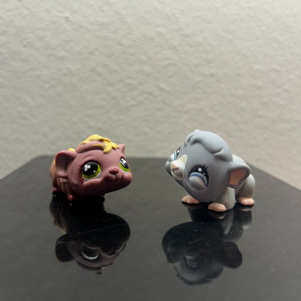 Pair of Guinea Pig LPS